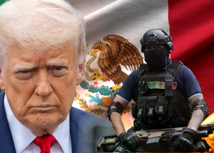 Si México no hace su trabajo, nosotros lo haremos: Trump