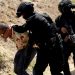 Adiestran a elementos de la Policía de Jalisco en tácticas de intervención urbana