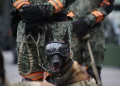 Así opera el cuerpo de élite del Ejercito Mexicano
