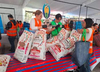 Flextival de Ecolana llega a su 11a edición con más de 3 millones de envolturas recuperadas