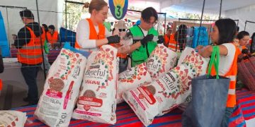 Flextival de Ecolana llega a su 11a edición con más de 3 millones de envolturas recuperadas
