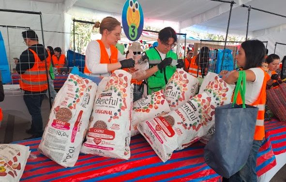 Flextival de Ecolana llega a su 11a edición con más de 3 millones de envolturas recuperadas